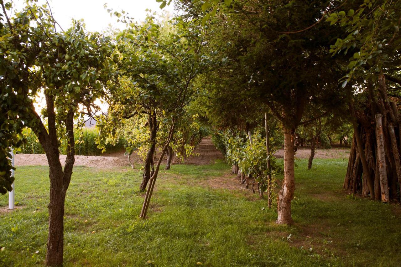 Domaine Des 4Roses -Spa Et Serenite Βίλα Furdenheim Εξωτερικό φωτογραφία