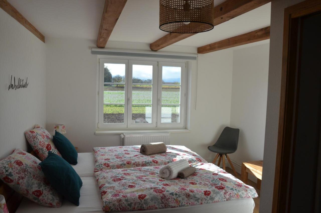Domaine Des 4Roses -Spa Et Serenite Βίλα Furdenheim Εξωτερικό φωτογραφία