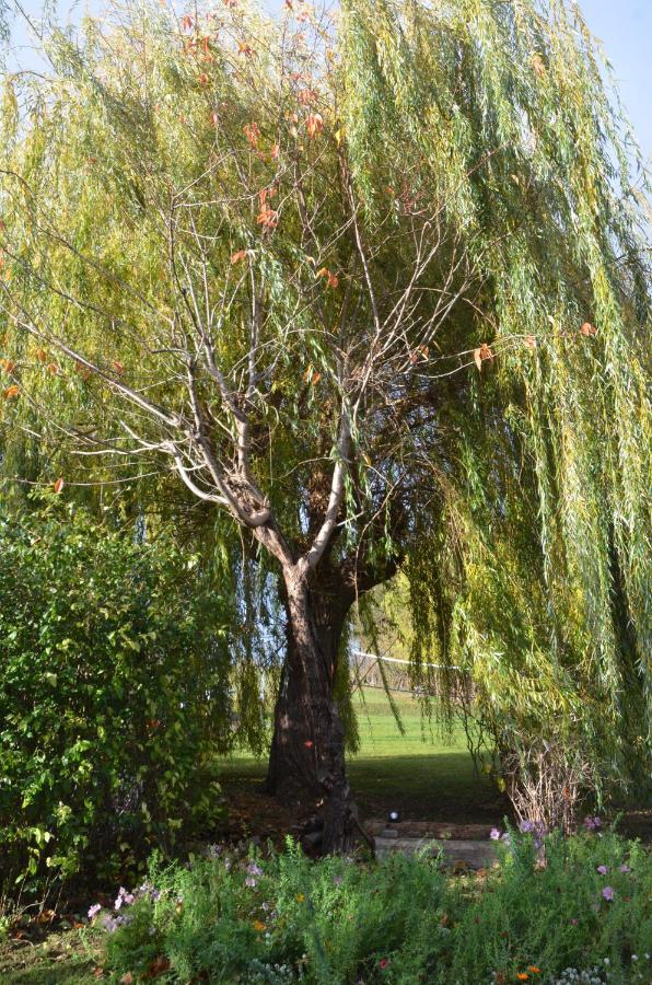 Domaine Des 4Roses -Spa Et Serenite Βίλα Furdenheim Εξωτερικό φωτογραφία