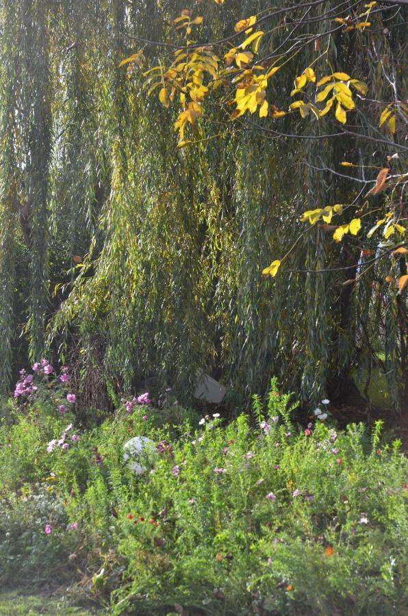Domaine Des 4Roses -Spa Et Serenite Βίλα Furdenheim Εξωτερικό φωτογραφία